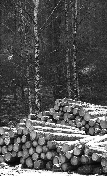 Loading Logpile