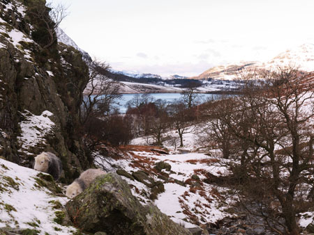 Loading Crummock